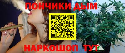 apvp Кунгур