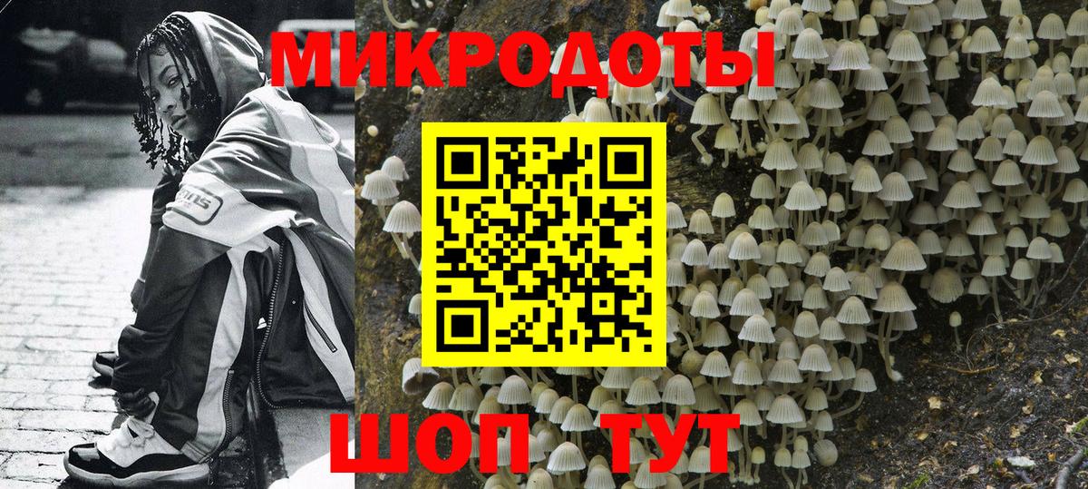 Елабуга  купить   Вход с VPN  Псилоцибиновые грибы мицелий 